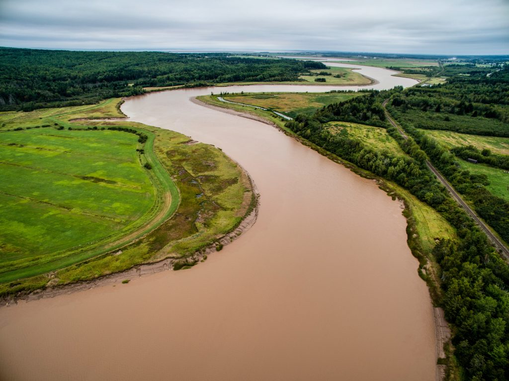 as a result of abandoning local composting efforts, waterways are being polluted.