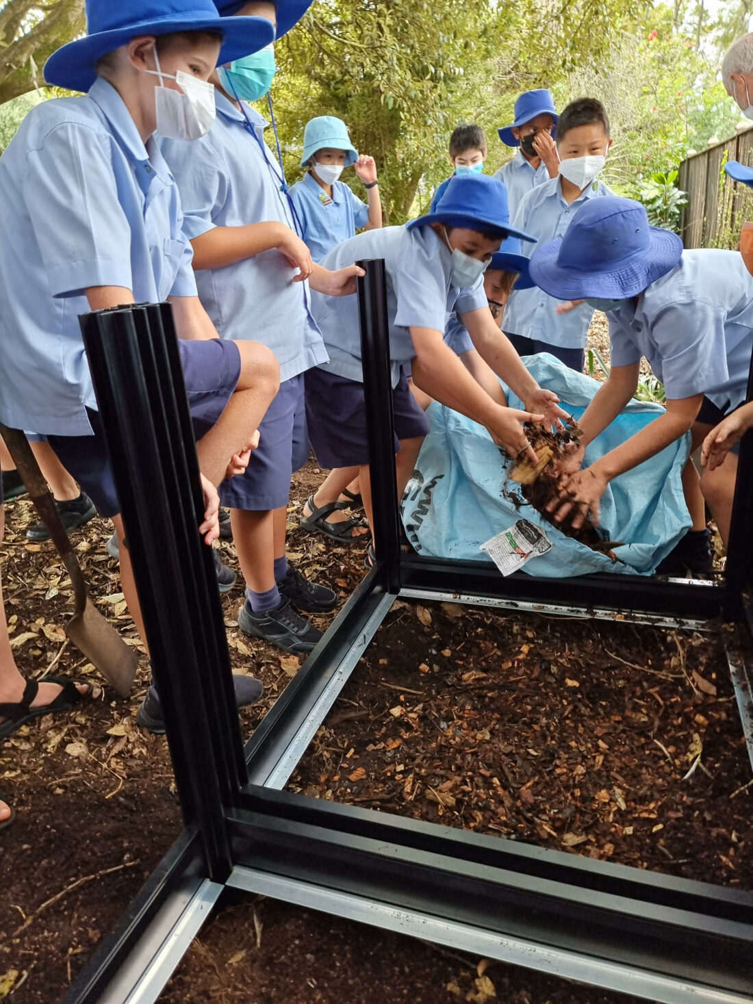 Children composting in school